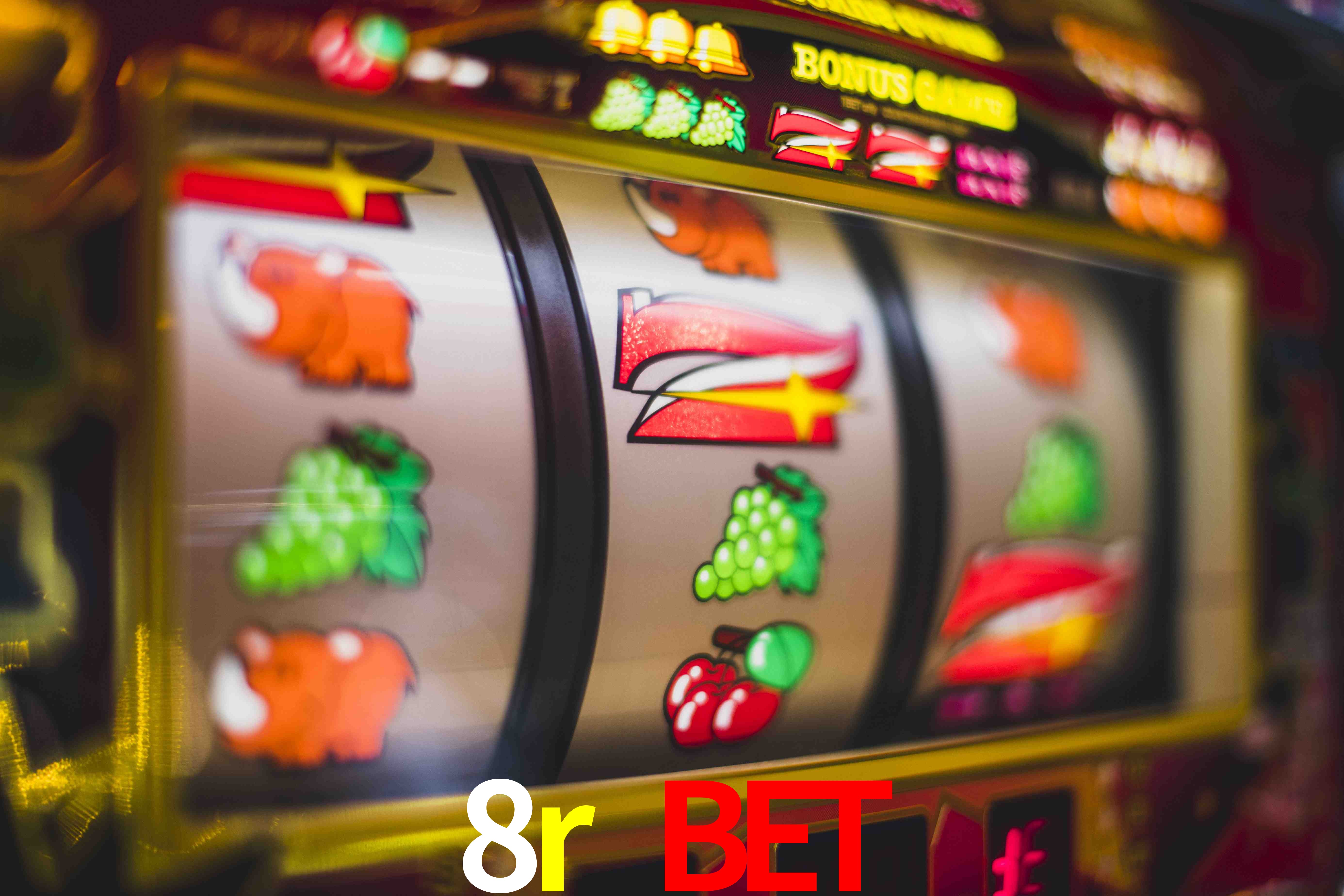 Sports Statistics 8r bet